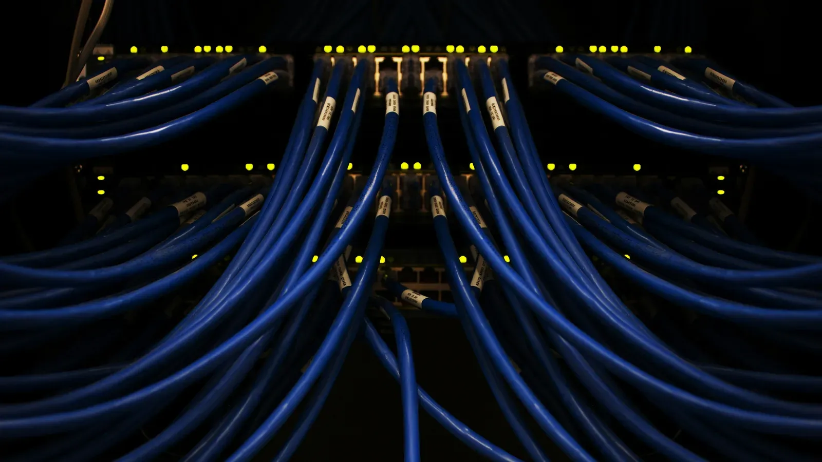 Rows of blue network cables plugged into switches in a dark server rack
