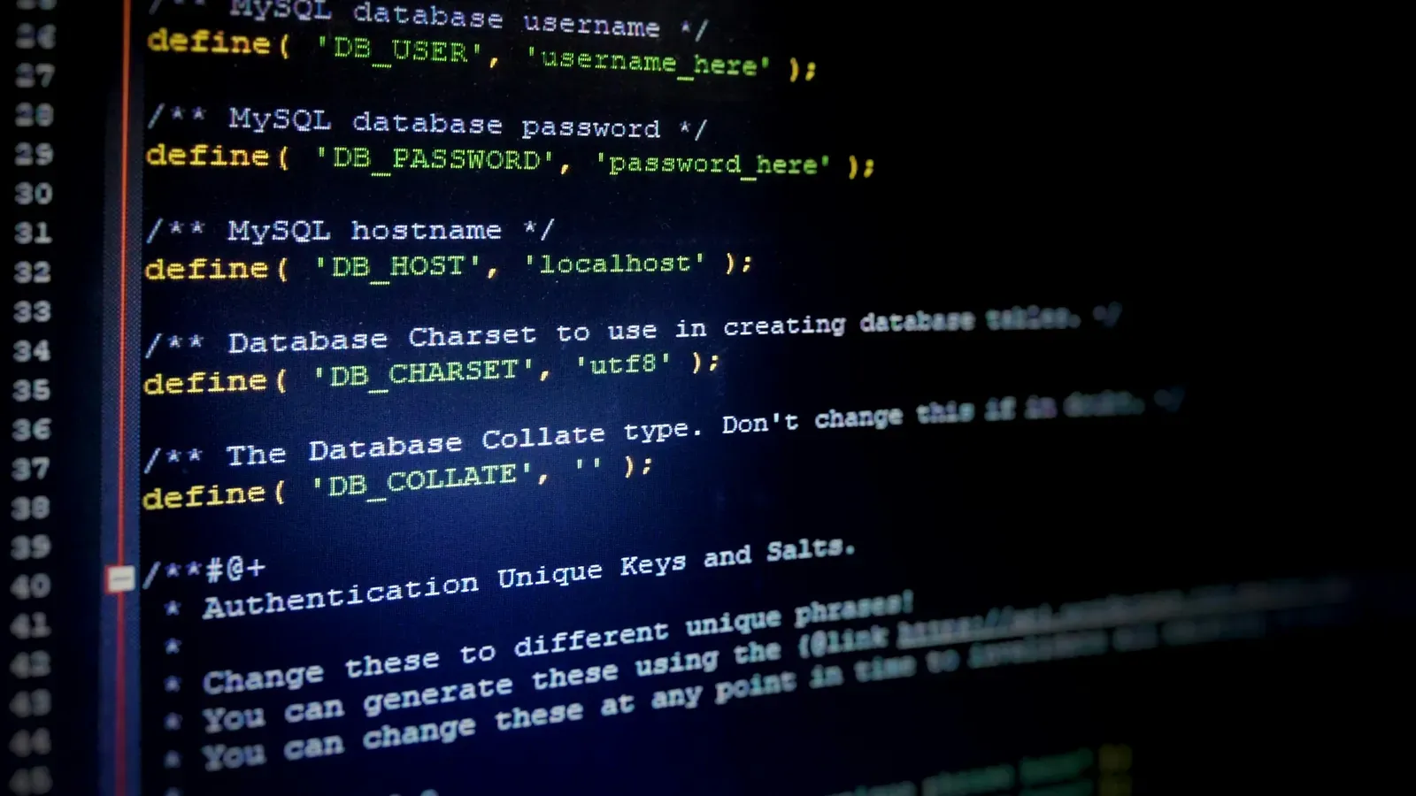 DMARC for Small Business: Data Collected From 1,728 Domains | ZNova