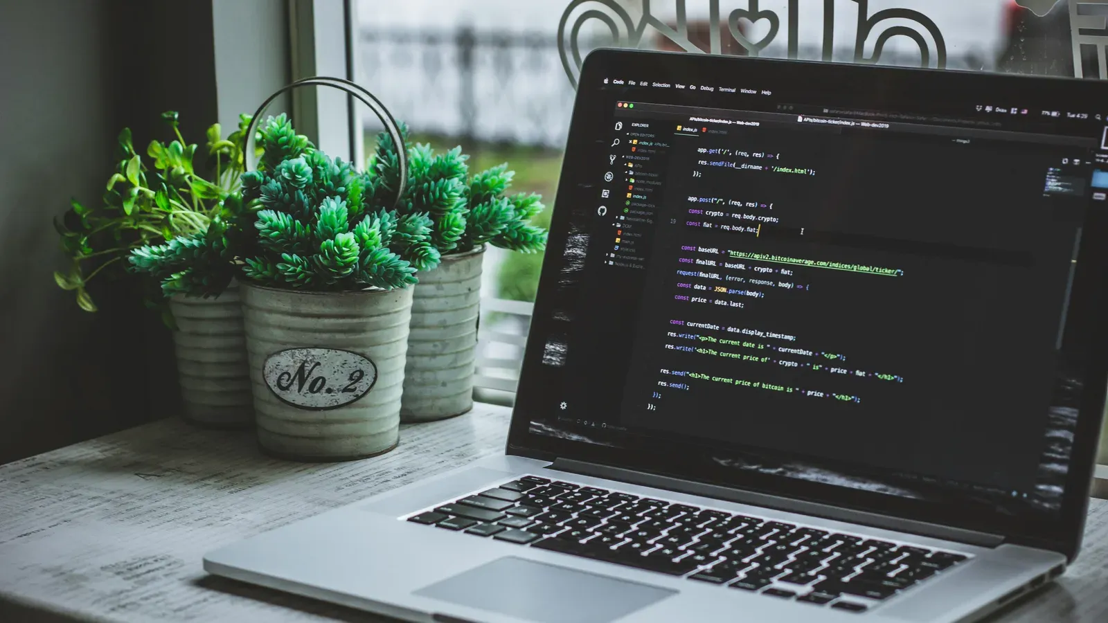 A laptop showing JavaScript code in an editor, beside potted plants on a windowsill